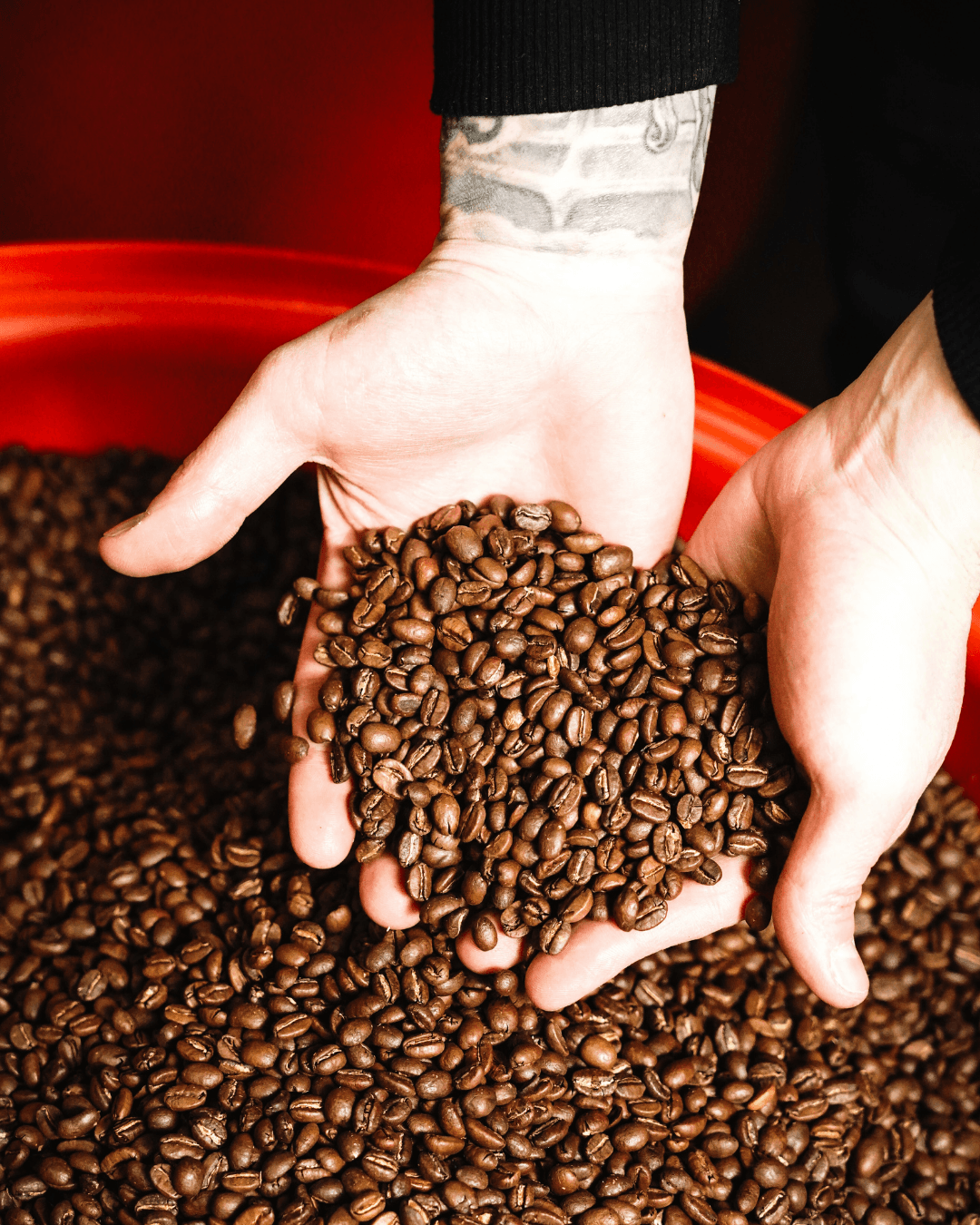 Adelaide Socials Instagram content — creative brand photography Adelaide