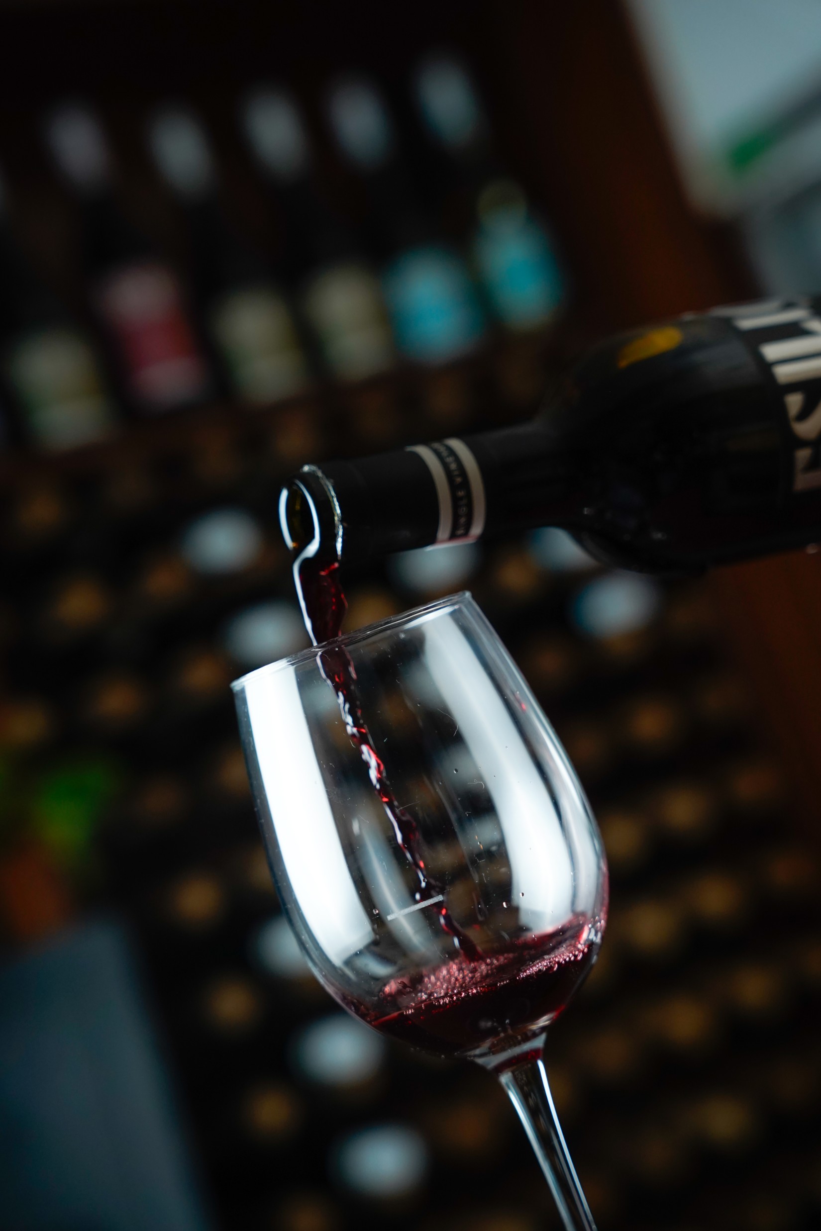 adelaide-socials-website-design-dsc0687-adelaide-01