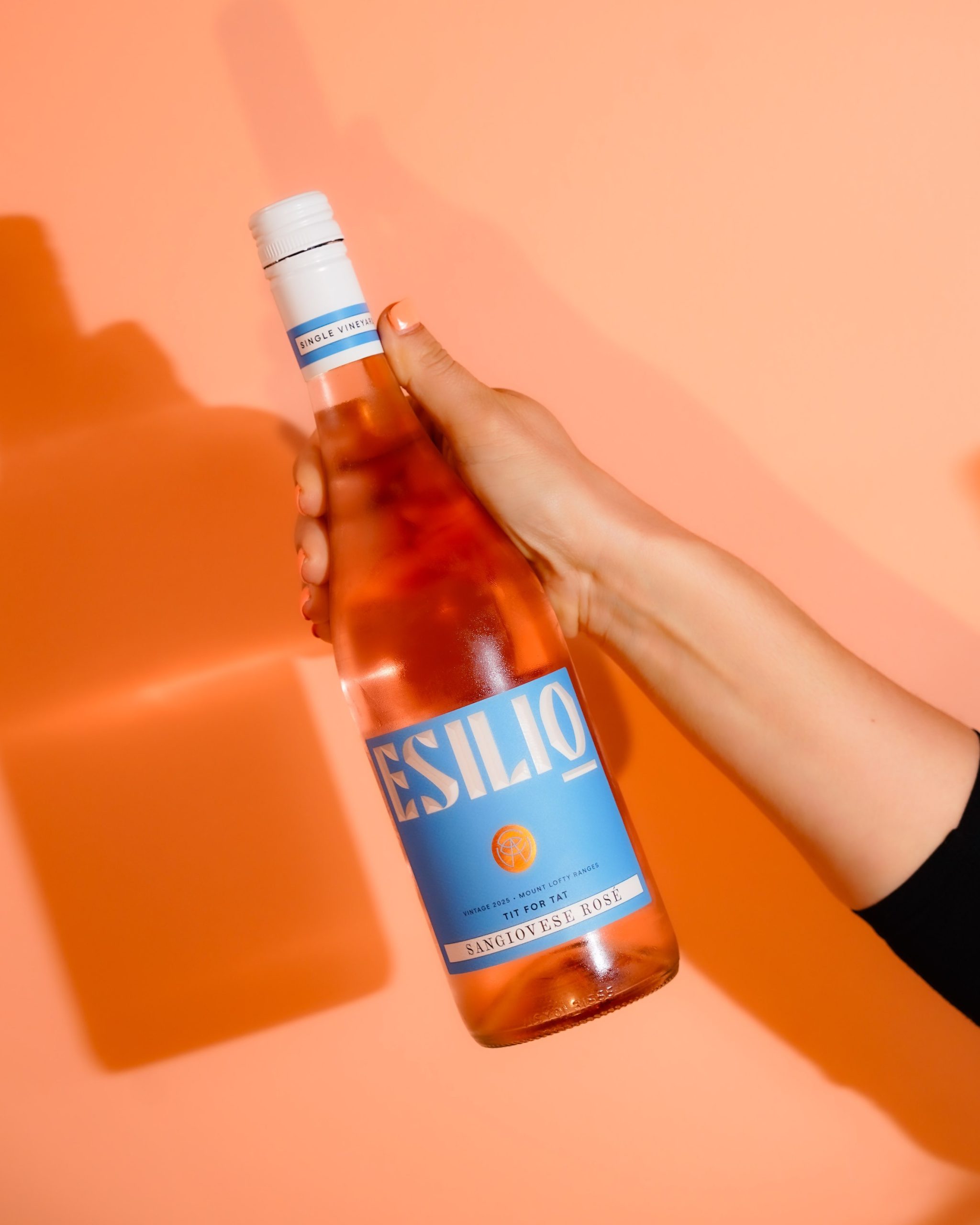 adelaide-socials-website-design-dsc0808-adelaide-01