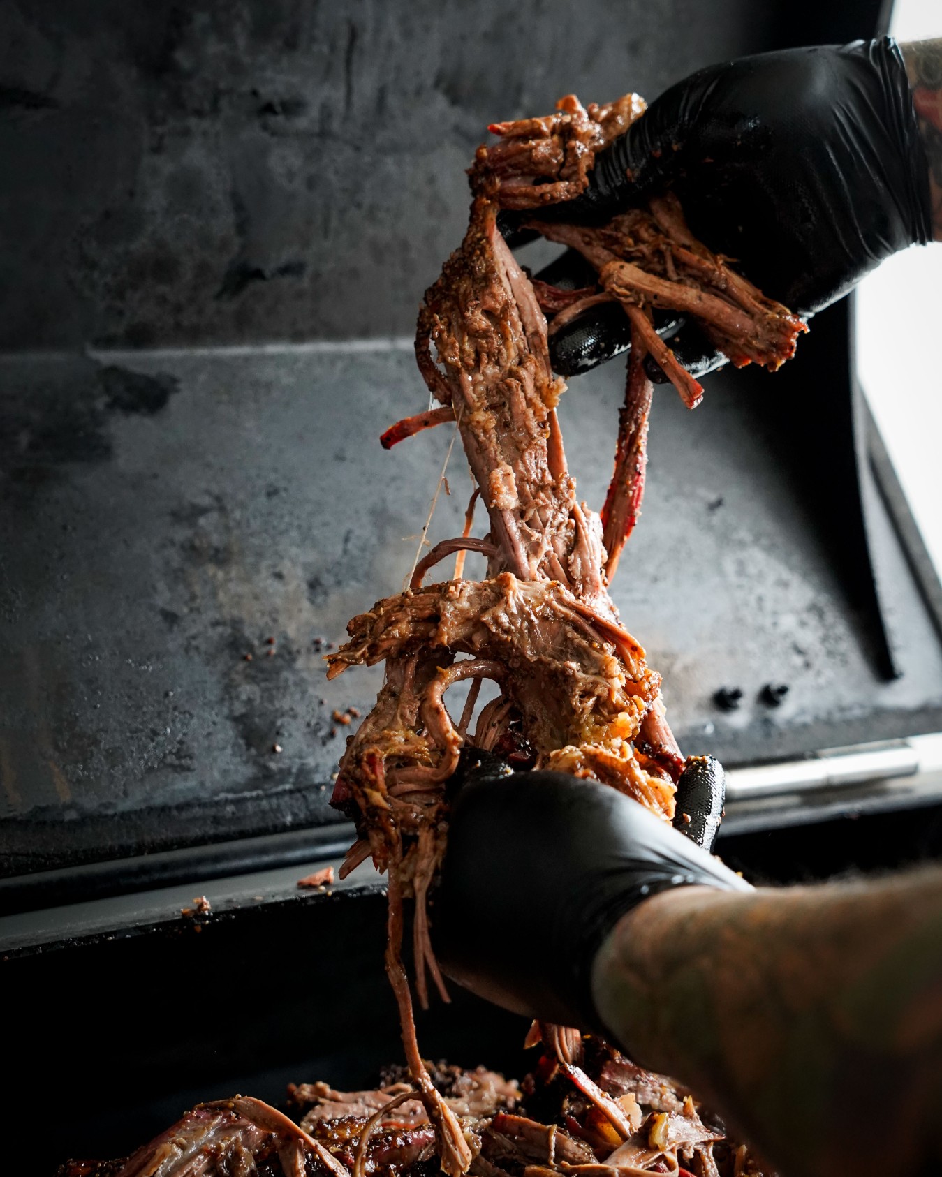 adelaide-socials-website-design-dsc6236-adelaide-01