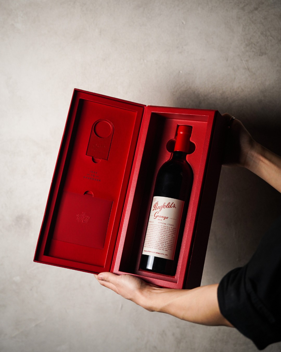 adelaide-socials-website-design-xxkjlbad-adelaide-01